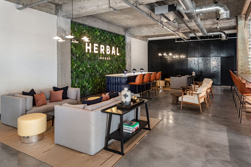 Green wall and mixed seating layout at Herbal House in London
