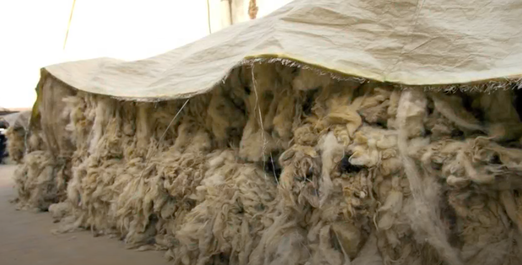 New Zealand wool used for making rugs kept stored under a canopy