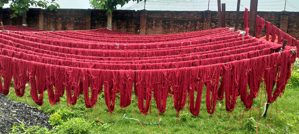Red dyed yarns hanging out to dry